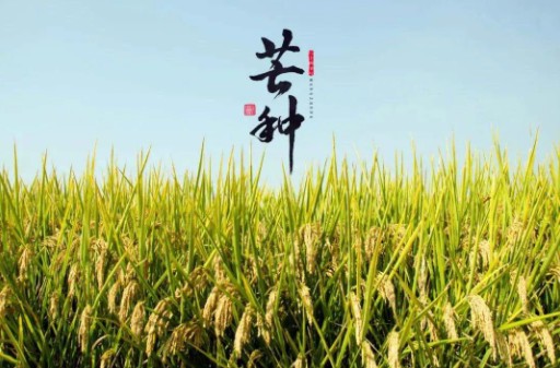 芒種到，防苦夏，祛濕很(hěn)重要。